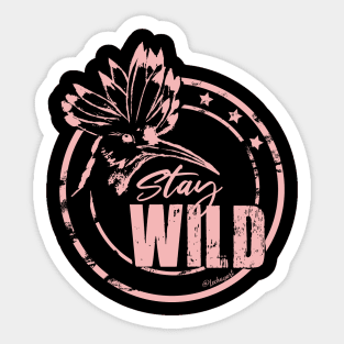 Wild pink hoopoe Sticker